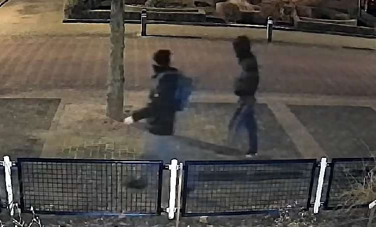 Huissen - Diefstal uit garage – Koelhuisstraat – Huissen